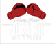 Tommy Gunnz Boxing - Home